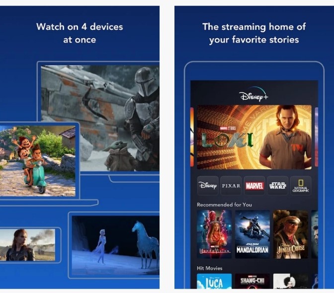 Information about Disney plus MOD APK: